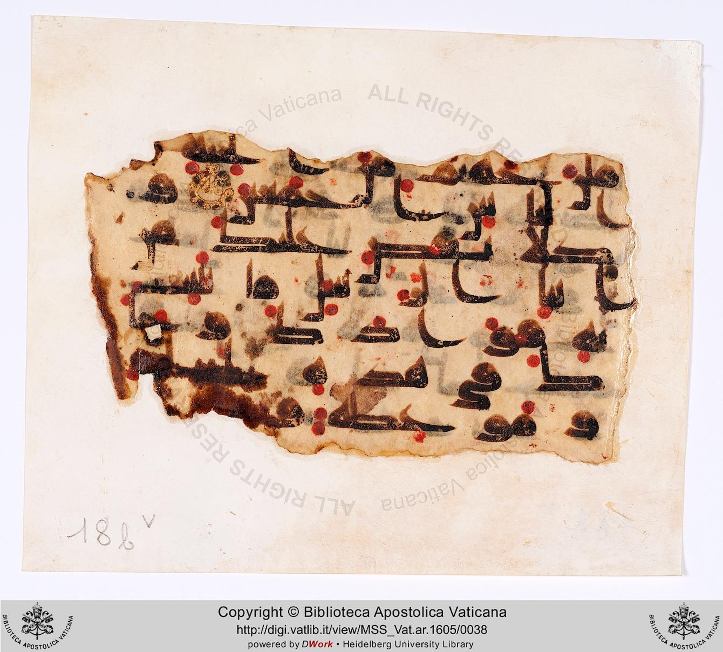 Codex Parisino-petropolitanus (Vat. Ar. 1605) (Scan 2), in kūfī D.II script, showing Surah 11:119 from 8th to 9th Century AD found in Fustat (Old Cairo), Egypt, currently housed at Biblioteca Apostolica Vaticana, Rome